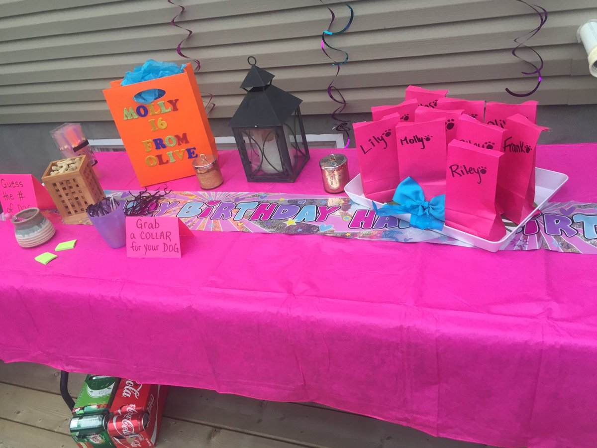 sydgoldy's tweet photo. my mom is the most EXTRA person I've met she deadass threw a sweet sixteen for my dog https://t.co/ssKJ6QYAnP