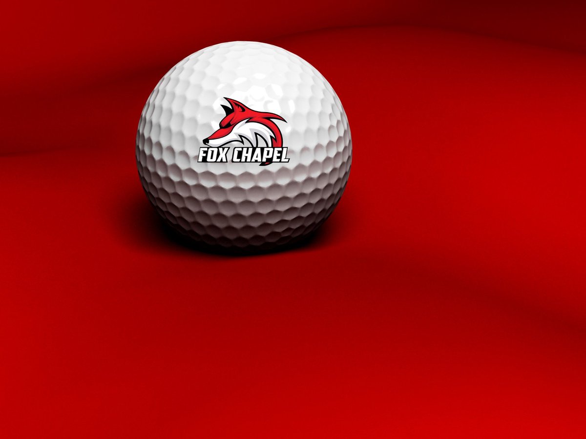 FRPanthersGolf's tweet photo. Thoughts and wishes for a speedy recovery goes out to Fox Chapel golfers that were injured in a car accident earlier today. https://t.co/zwqNk9QhT9