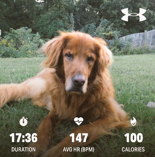 judyshriner's tweet photo. Y’all. Mommy needs 20 minutes with some weights. #goplaykids https://t.co/jFiRL92cgs