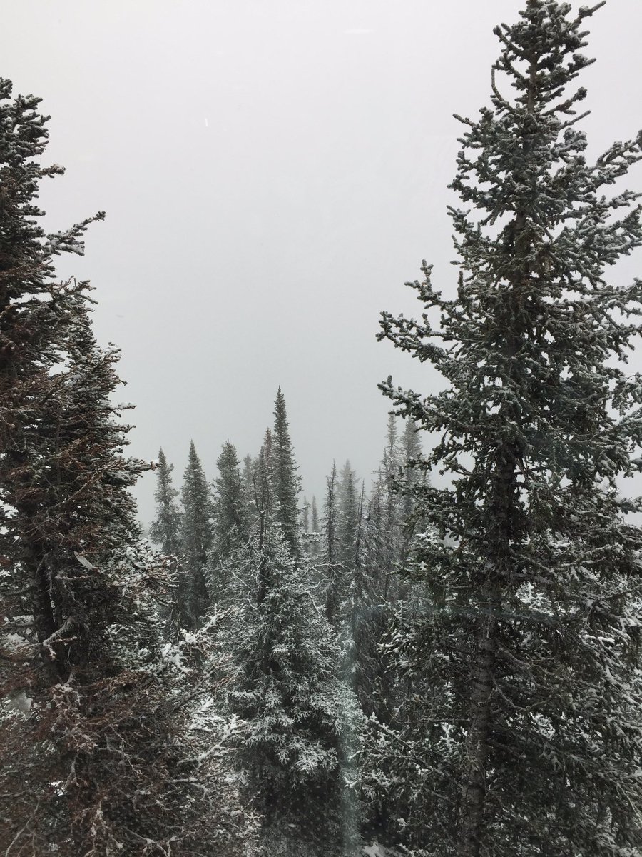 KARANHOPKINS2's tweet photo. Stunning Banff
#lakebanff #discoverybanff #canada #andersontours https://t.co/H7lTU8pvgm