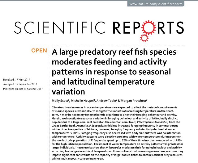 DrMollyScott's tweet photo. Out today- #coraltrout alter feeding &amp; activity patterns in relation to increasing temperature. @MorganPratchett @CoralCoE @MichelleHeupel https://t.co/r9DuNNRsDy