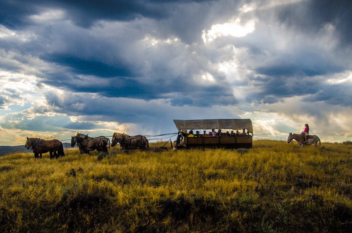 Encroaching storms paint the sky in menacing tones as #cowboys scurry across the Great Plains in an Oregon Trail styled procession.