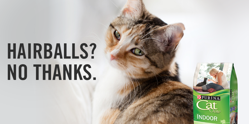 PurinaCatChow's tweet photo. Added fiber in Purina Cat Chow Indoor helps control hairballs in cats. Hairballs 👎 Happy kitties 👍 https://t.co/RIIz9SZHDm https://t.co/t9UVrLjCum