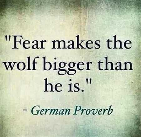 WanderingBugs's tweet photo. Don't let the Wolf win!  #nofear #watchthewolves #bringthemdown #dontletthemwin #knockthemdowntosize #motivationalquotes https://t.co/ascGSdIqre