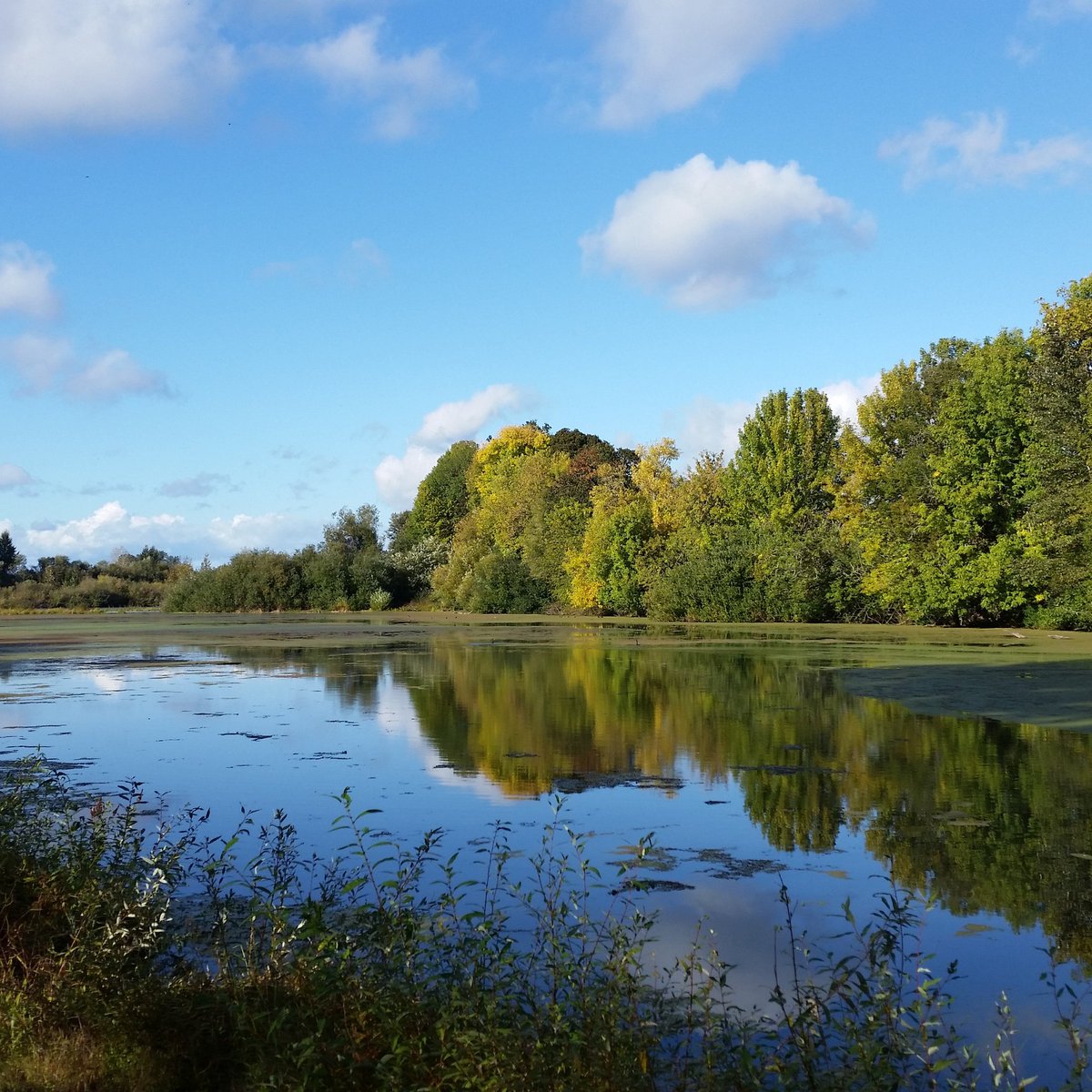 davidnevue's tweet photo. A peaceful walk on a day when I need peace of mind. #peaceful #blueskies #joyinsimplethings #silence https://t.co/kUbFzhXxv9