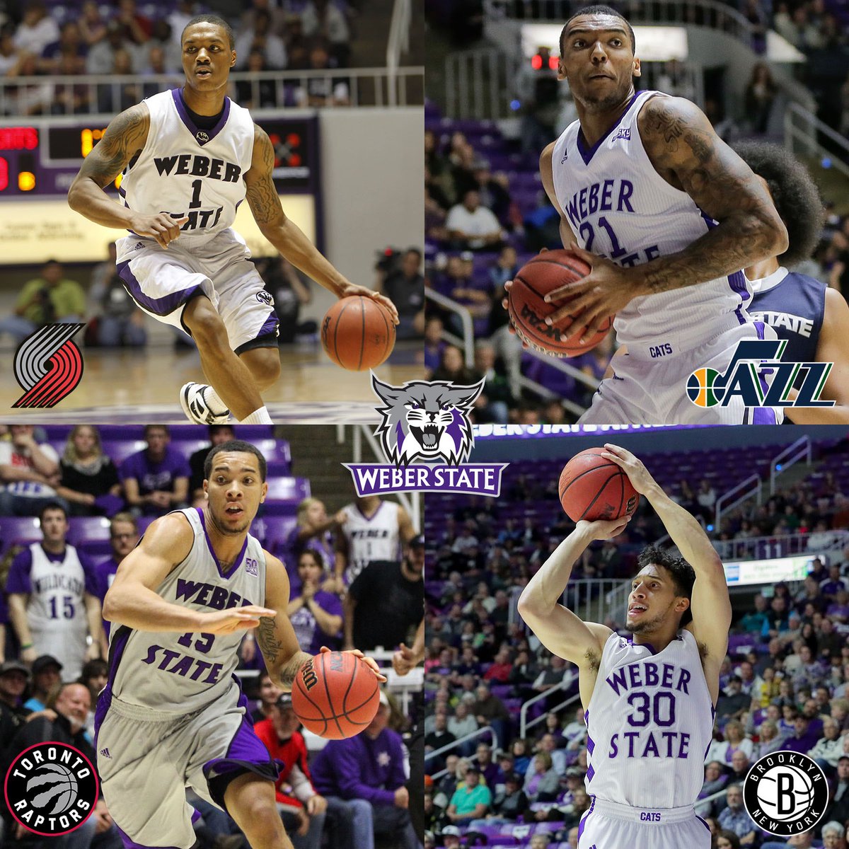 Weber State Athletics (@weberstate) on Twitter photo Thatās 4ļøā£ <a href="/WeberStateMBB/">Weber State Menās Basketball</a> players currently on <a href="/NBA/">NBA</a> rosters! <a href="/Dame_Lillard/">Damian Lillard</a> <a href="/Bolomboy21/">BolOmBoy</a> <a href="/Jsenglin_30/">Jeremy Senglin</a> <a href="/DavionBerry/">Davion berry</a> #WeAreWeber š Thatās 4ļøā£ <a href="/WeberStateMBB/">Weber State Menās Basketball</a> players currently on <a href="/NBA/">NBA</a> rosters! <a href="/Dame_Lillard/">Damian Lillard</a> <a href="/Bolomboy21/">BolOmBoy</a> <a href="/Jsenglin_30/">Jeremy Senglin</a> <a href="/DavionBerry/">Davion berry</a> #WeAreWeber š