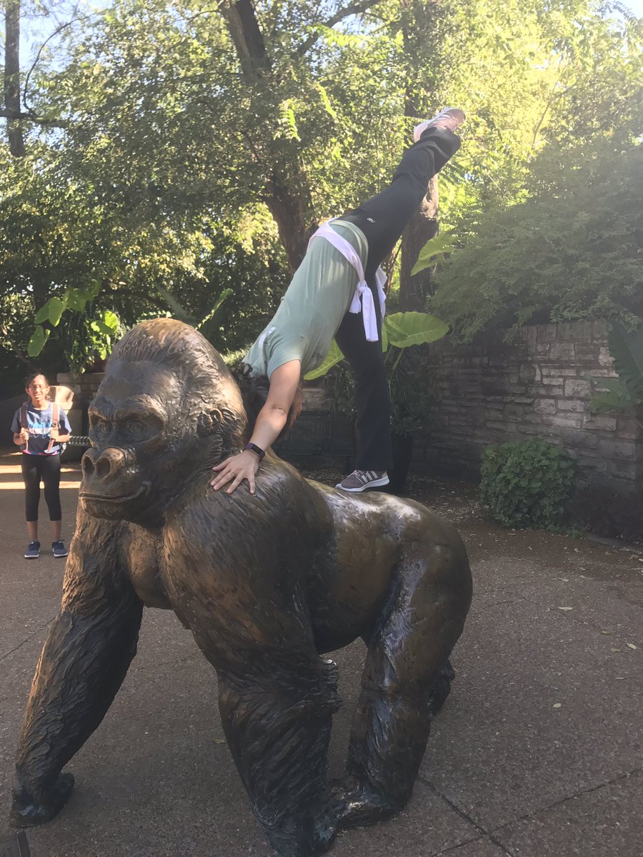 yogabuzzCOMO's tweet photo. Stop monkeying around and get your tickets for "Hot" Yoga + Cold Beer THIS Saturday at @buroakbrewing! 

https://t.co/rsbZ2FhknZ https://t.co/0f0r7EbT6L