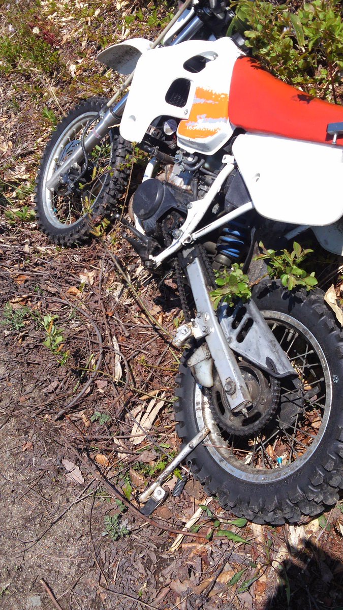 fakegukat's tweet image. #サイドショット晒すとrtが来る
古い順、ザンザスの写真残ってないなぁ…