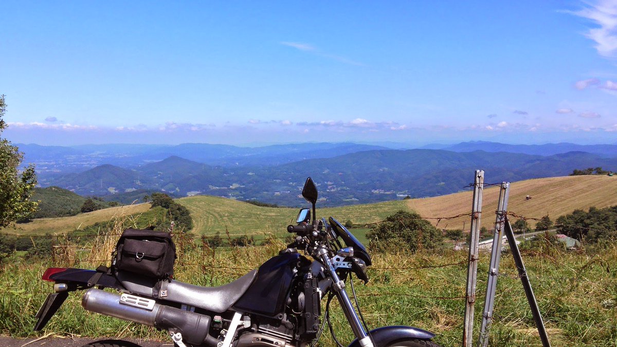 fakegukat's tweet image. #サイドショット晒すとrtが来る
古い順、ザンザスの写真残ってないなぁ…