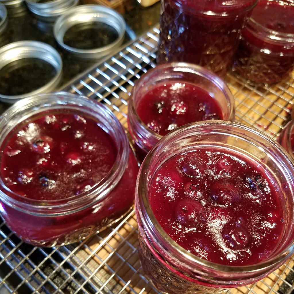 Next Up ~ Black &amp; Blue Breakfast Preserves abundantlifeak.wordpress.com/2017/10/11/nex…