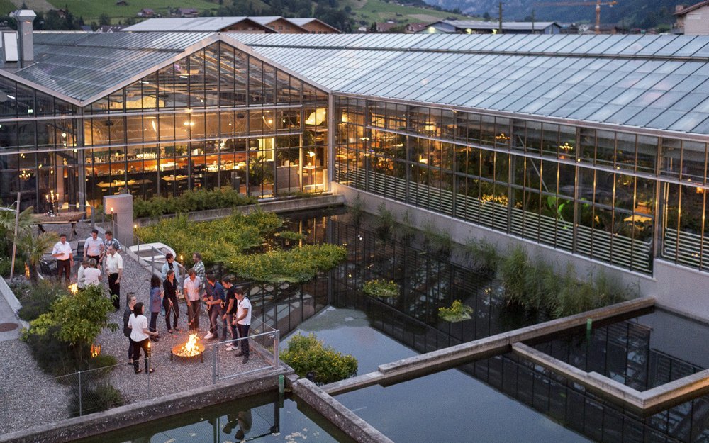 Event_Butler's tweet image. Lust auf tropische #Weihnachten? Jetzt im #Tropenhaus Frutigen erleben: bit.ly/2hCdkth #Weihnachtsfeier #Firmenfeier #XmasParty