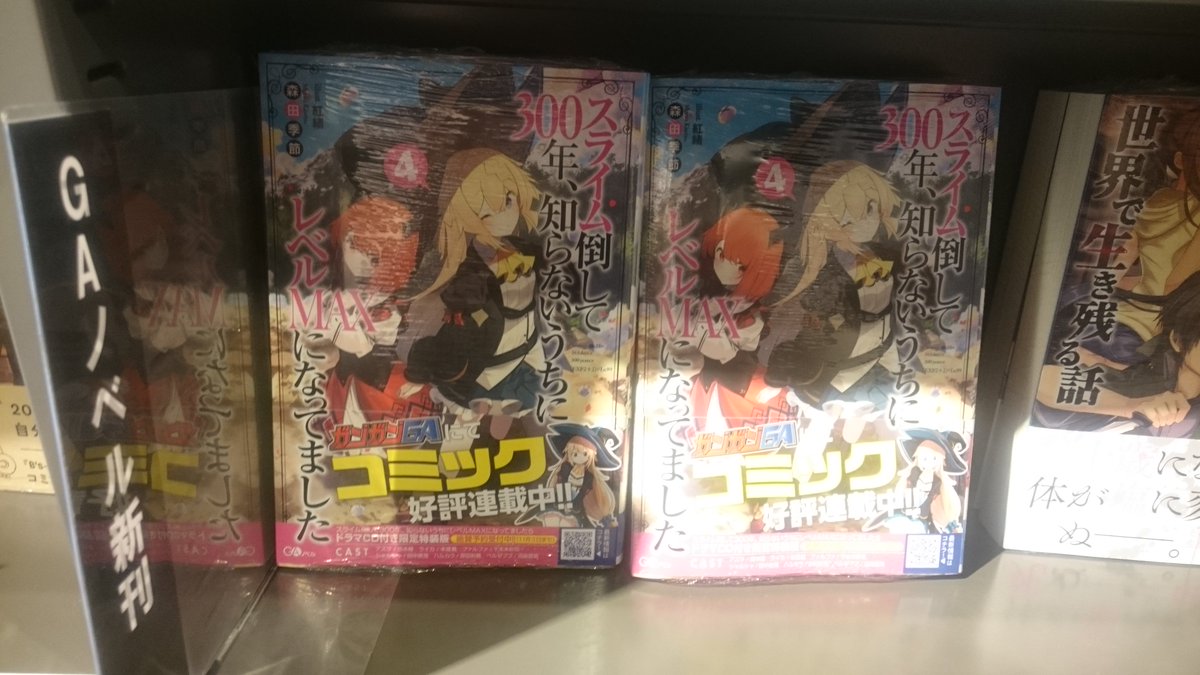 枚方 蔦屋書店コミック館 على تويتر ラノベ文芸新刊情報 本日はラノベ文芸の発売日です スライム倒して300年 知らないうちにレベルmaxになってました 4巻 誰かこの状況を説明してください 8巻 この手の中を 守りたい 2巻 Gaノベル アリアんローズの