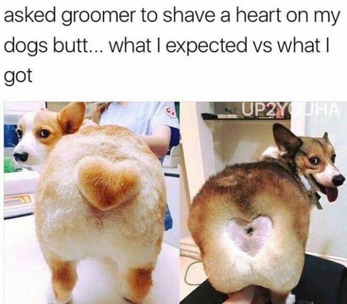 😂😂