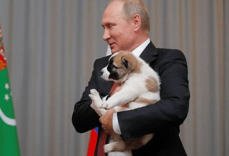 プーチン大統領 可愛い誕生日プレゼントを貰って嬉しそう