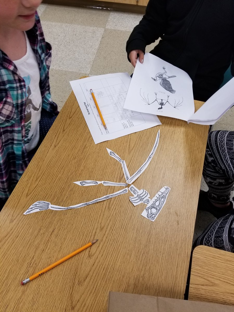 mrsnelsonsroom's tweet photo. Ss went on a fossil hunt as archaeologists today in co-taught social studies @Oto_4thGrade @KatarinaIgnacek #rowvastrong https://t.co/xWiZYkzTM7