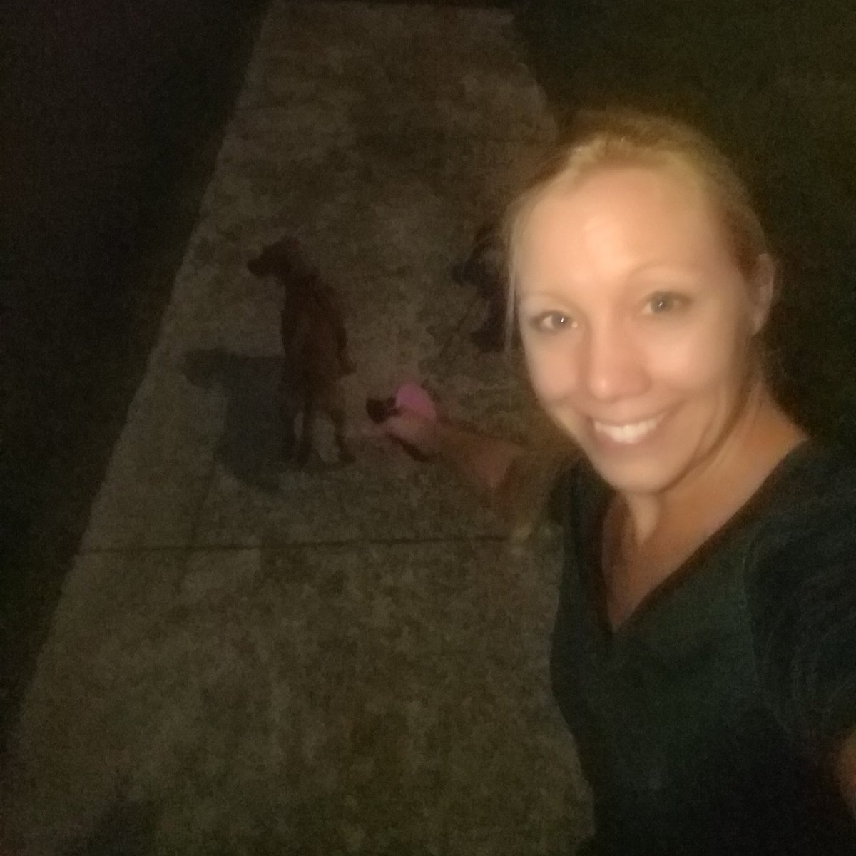 ArtsyFartsyT's tweet photo. Great fall night to pray & run with my Dawgs! #fitteam #fitteamglobal #walkyourdog #crispair #getfit #prayforgood https://t.co/ShZG2oGTk4