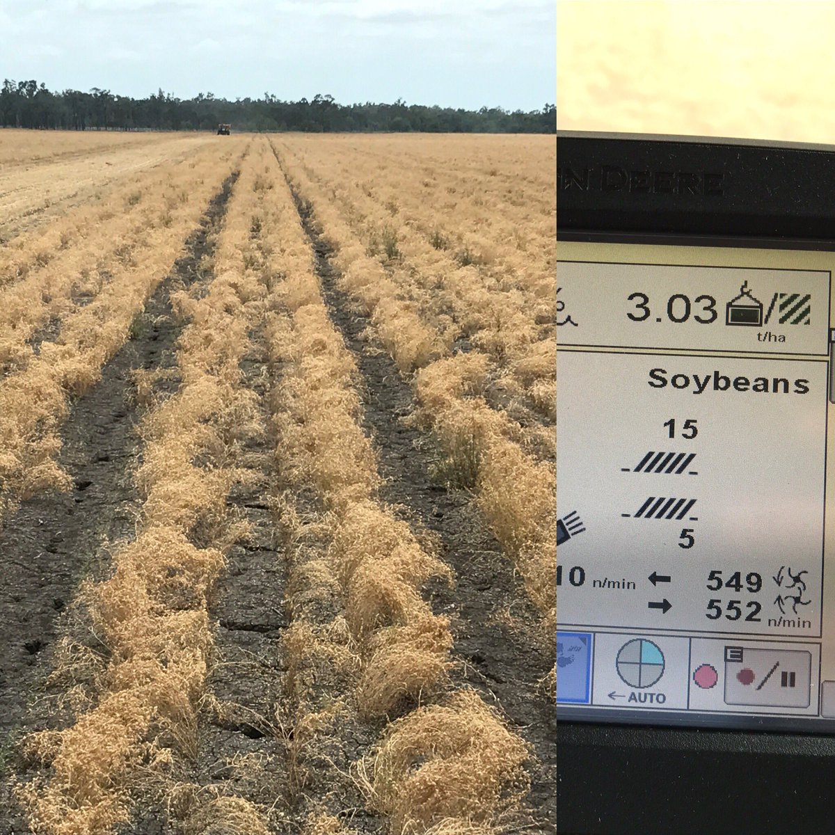 Luke Bradley (@woolaroo5) on Twitter photo <a href="/NifftyAg/">NifftyAg</a> #strip-till showing 👍ROI with 10mm in crop ☔️ #putyourmoneywhereyourplantis <a href="/TillSolutions/">Tillage Solutions</a> <a href="/DaveCowan5/">Dave Cowan</a> <a href="/NifftyAg/">NifftyAg</a> #strip-till showing 👍ROI with 10mm in crop ☔️ #putyourmoneywhereyourplantis <a href="/TillSolutions/">Tillage Solutions</a> <a href="/DaveCowan5/">Dave Cowan</a>