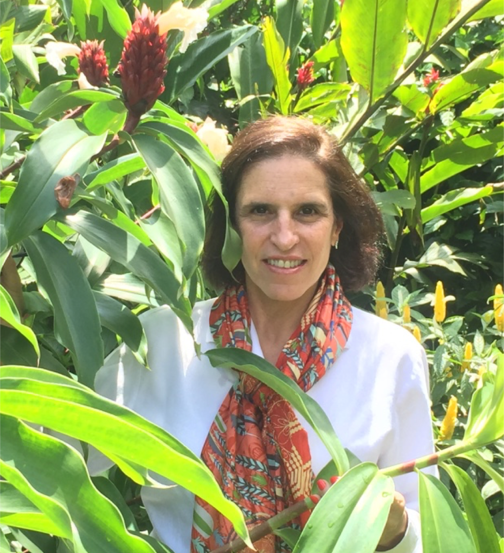 idydesarrollo's tweet photo. Alejandra Zorrilla https://t.co/Ygm6gJEKfp https://t.co/AJZ4PmEslN