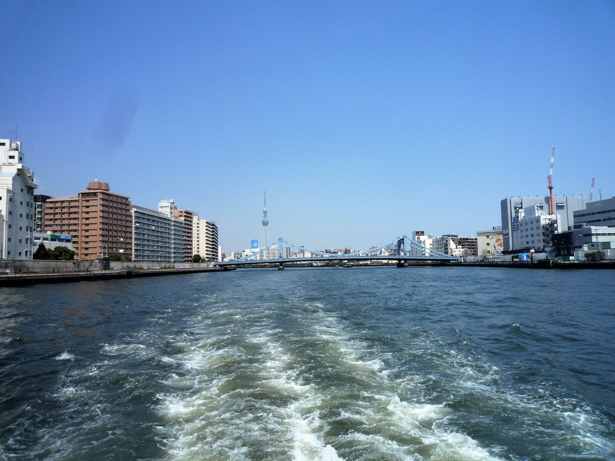 水上バス 東京水辺ライン 東京水辺ライン両国待合所向かい側 両国国技館にフェラーリが大集合 一見の価値あり 水上バスも元気に運航中 今日は乗り物日和ですよぉ っ 水上バス 東京水辺ライン 東京水辺ライン両国待合所向かい側 両国国技館にフェラーリが大集合 一見の価値あり 水上バスも元気に運航中 今日は乗り物日和ですよぉ っ