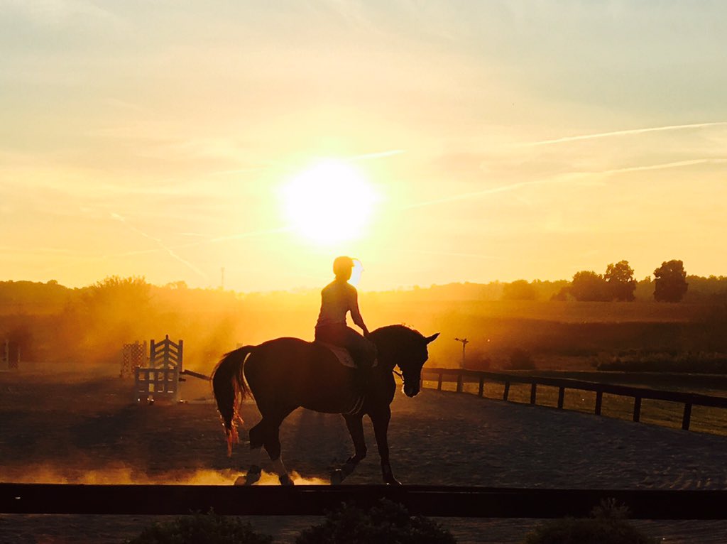 Eaitiful sunset at Wynnwood Farm!