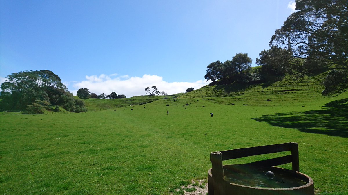 improvsamurai's tweet image. Beautiful day. Can you spot my sons?