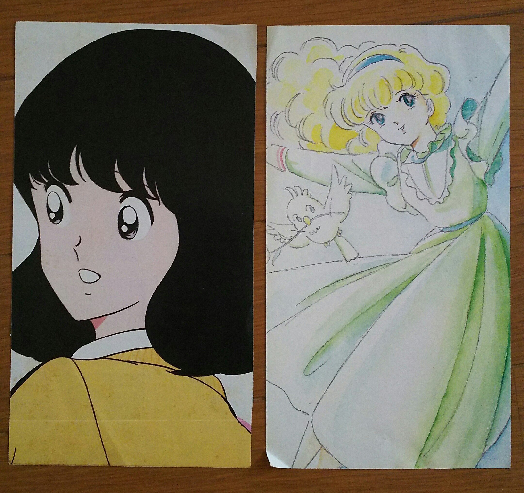 アニメ原画 炎のアルペンローゼ 赤石路代先生 タツノコプロ Www Sleepontario Com