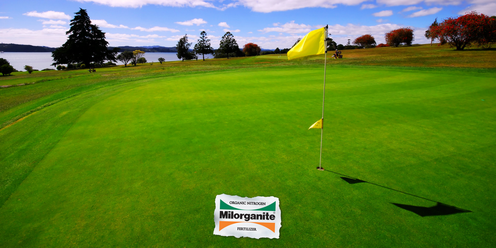 Milorganite's tweet photo. Milorganite improves color after snowmelt & speeds recovery from snow mold damage #DormantFeeding #CoolTurf #Golf https://t.co/Qb68UC1BJf https://t.co/VAyda94MZC
