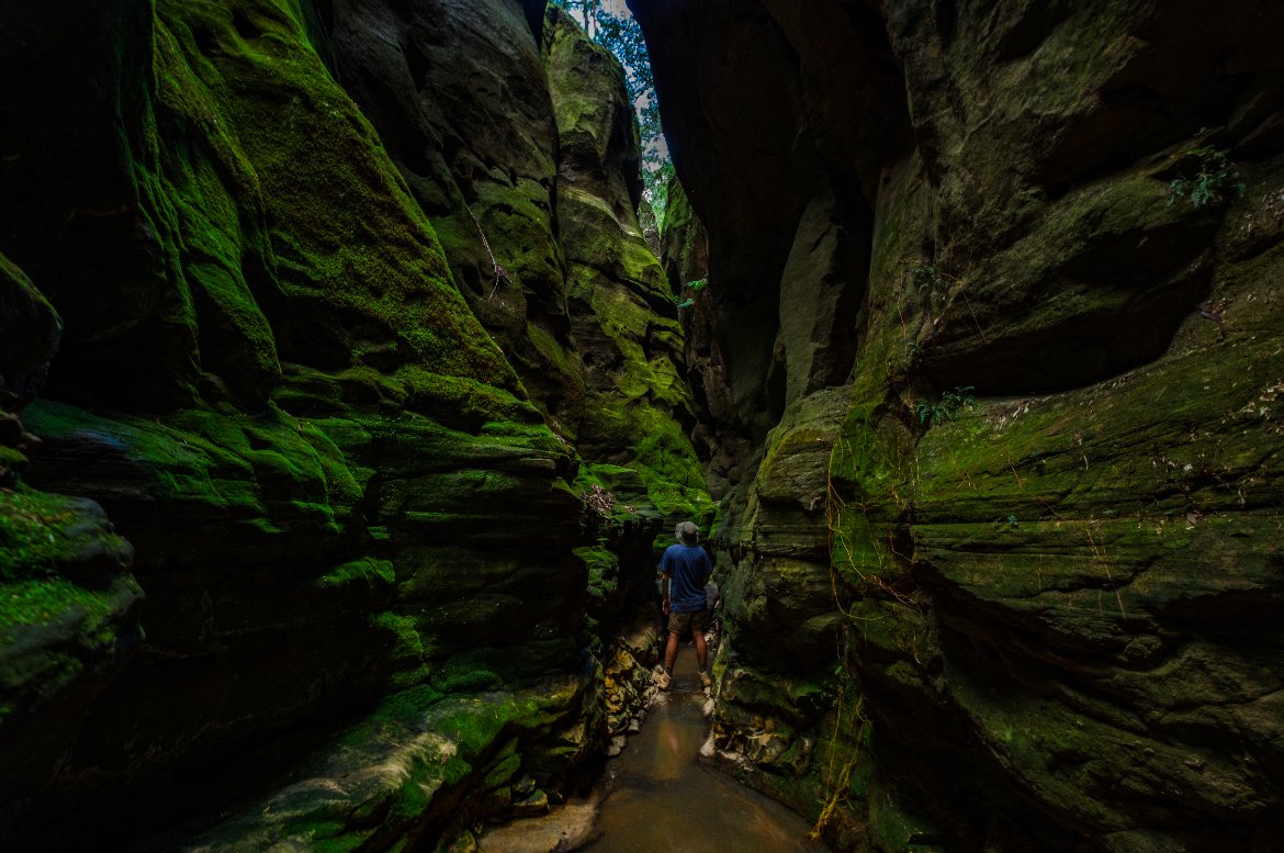 OUTBACK_QLD's tweet photo. 🌿🌏 Delve into a stunning landscape of towering cliffs at Carnarvon Gorge! #OutbackQueensland IG photo by Kate Skelding. https://t.co/IfpAMpRnj0