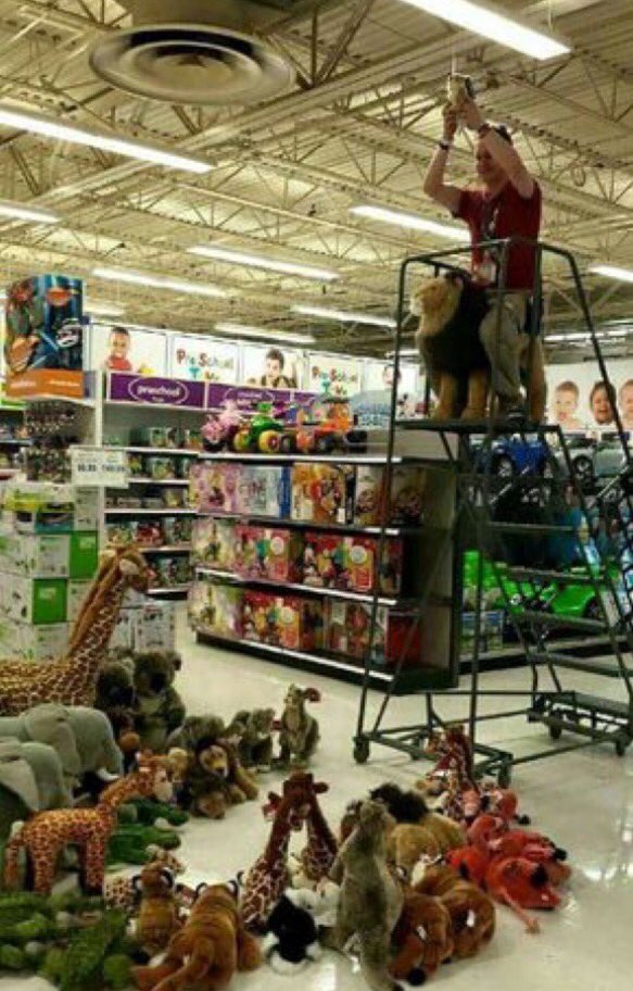jndixon13's tweet photo. Me around new people vs. me around people I'm comfortable with https://t.co/F8XJ1G0uM5