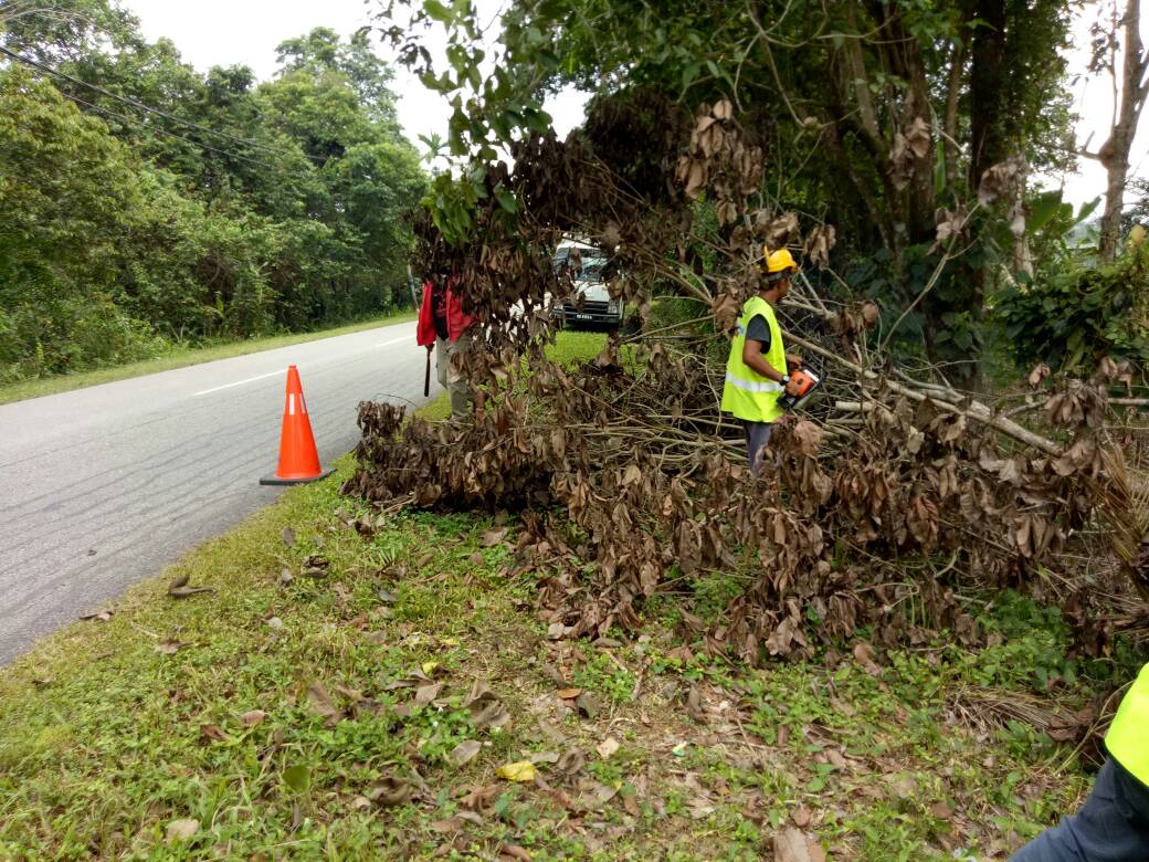 RC_Muadzam's tweet photo. Kerja kerja pembersihan pokok tumbang ft 2484 ( jalan masukan Chini
)seksyen 10.60 Pekan
#teamroad @P2Muadzam @Roadcare_Msia @JKRPekan https://t.co/AaLa7QIcAG