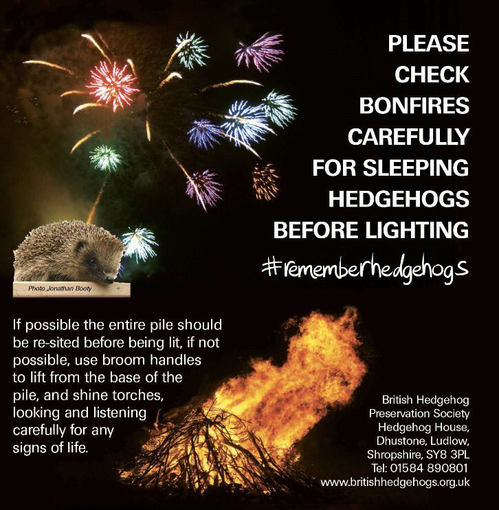 SWCCHedgehogs's tweet photo. Take care withbonfires this year! #hedgehogs can be very well hidden! @hedgehogsociety @TCSNewspaper https://t.co/c7gNLQuoBv