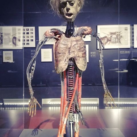 Bradleyjkornish's tweet photo. This animatronic ‘parasitic twin’ was used during the filming of David Cronenberg’s film ‘Dead Ringers’ (1988) The sequence was never used. https://t.co/RcFxib0qwy