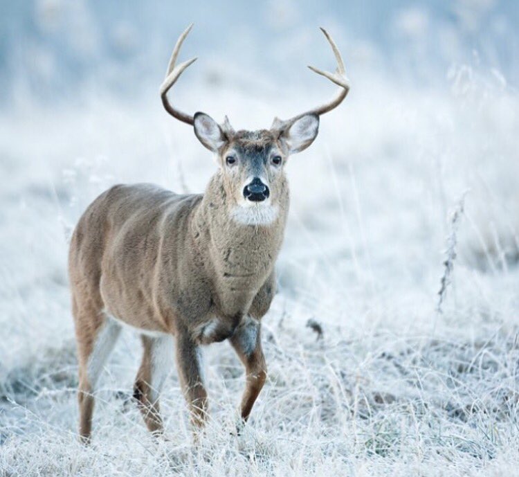 OutdoorObsessor tweet picture