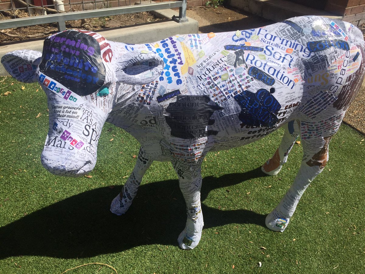SpaceCowMLC's tweet photo. I've taken off all my tech bits and I'm out in the sun having a graze! #archie17 @archibull @FAotC https://t.co/BEMcbHJsEb