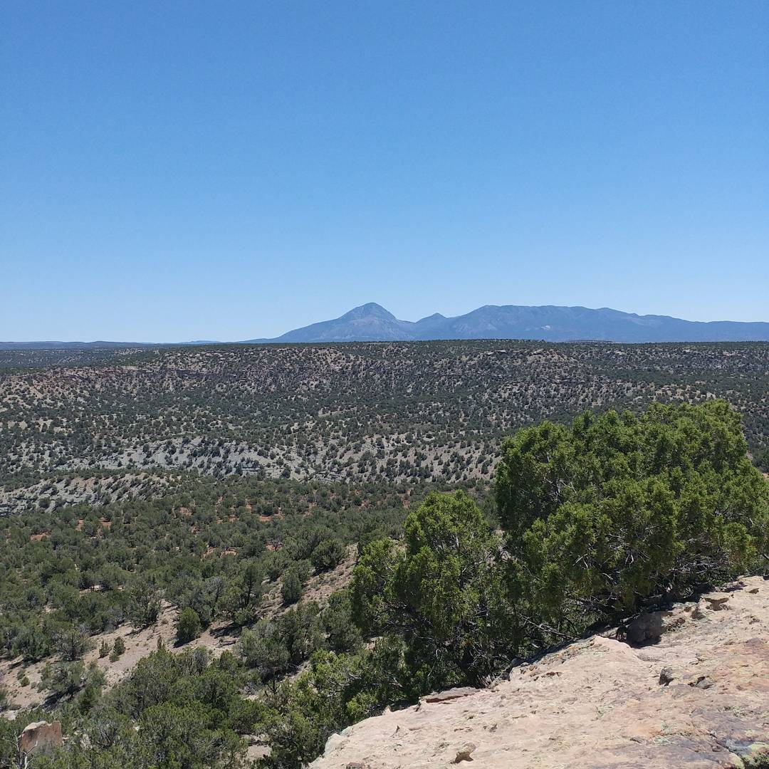 Valerie McClure (mcclureval1) Twitter