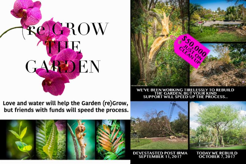***(re)Grow The Garden Fundraiser TONIGHT*** conta.cc/2xzfpkv