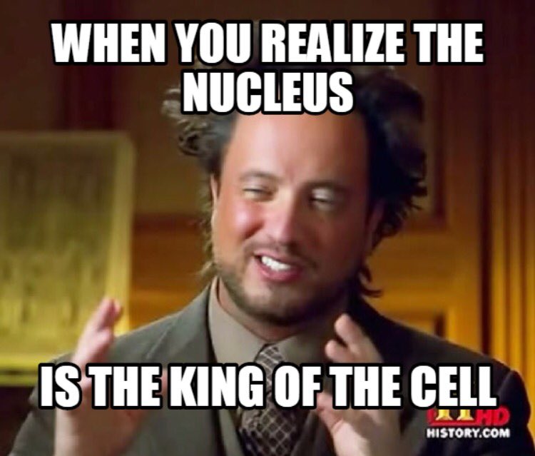 nucleus_life_'s tweet photo. Roast me https://t.co/d6n969VlQe