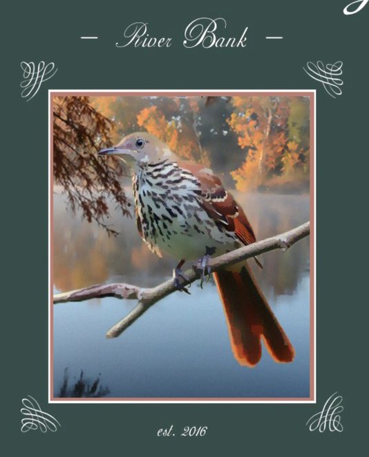 apo5tle's tweet image. I had a blast doing this :)))