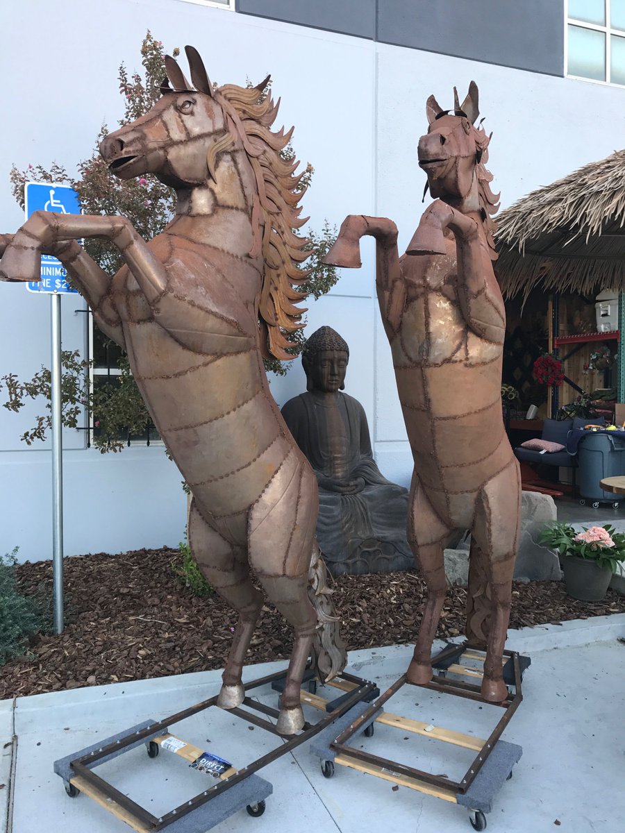 DirectLOL_SD's tweet photo. Different Right? That’s the impression homeowners give off and what #DirectLOL is all about. Stop by the store to see #charliehorse &amp; #MrED https://t.co/5gWntej9u1