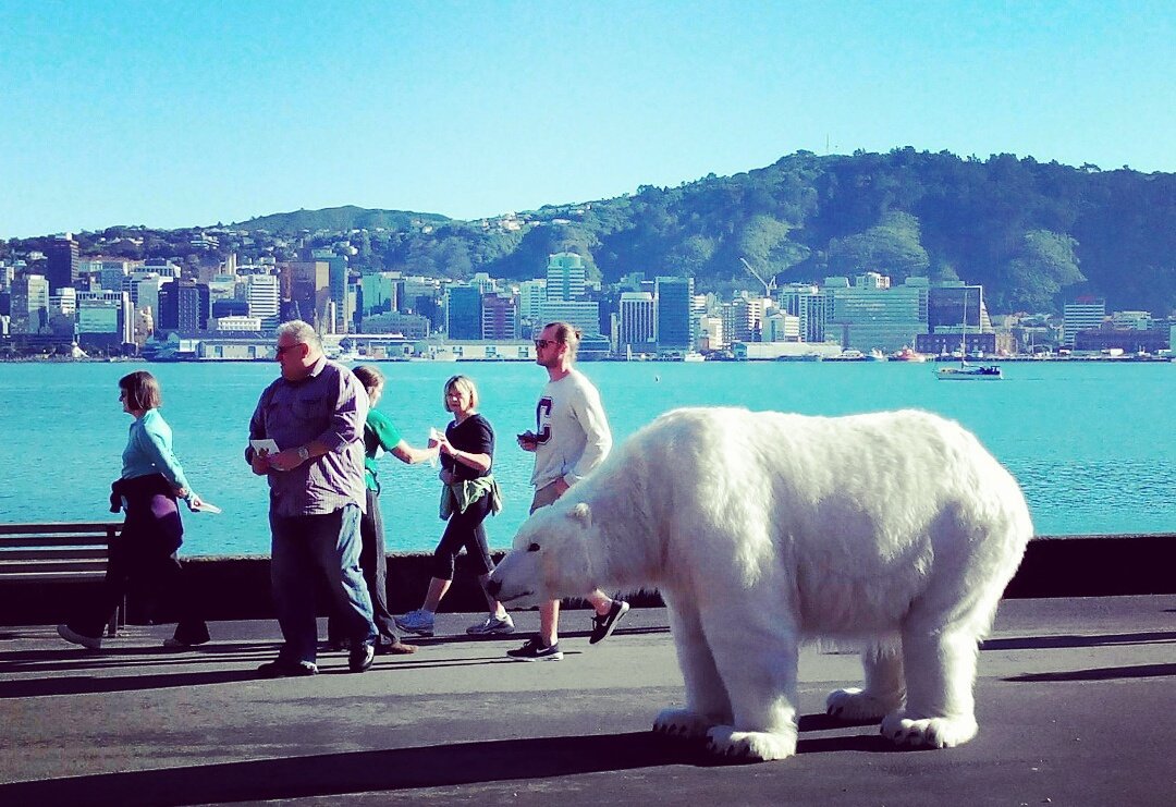 #WhyWellington? tweet media