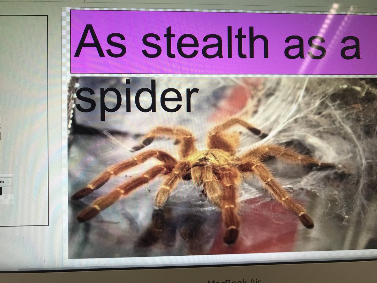 mrsorender's tweet photo. We are creating SIMILES as awesome as a blue oaks bear! #googledraw #RCSDchampions @rcsdblueoaks https://t.co/5OSo7Akc1I