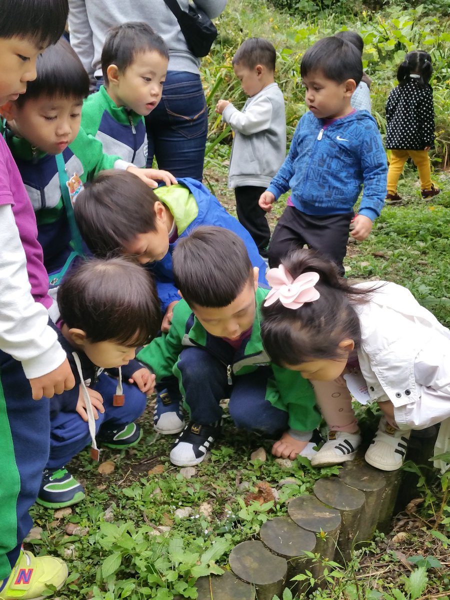 #성남시국공립고등동복지관어린이집 
만2세반 친구들과 금토산으로 숲체험을 다녀 왔어요..도토리 밤송이 낙엽들을 탐색하며 가을이 왔음을 느낄 수 있었어요.....