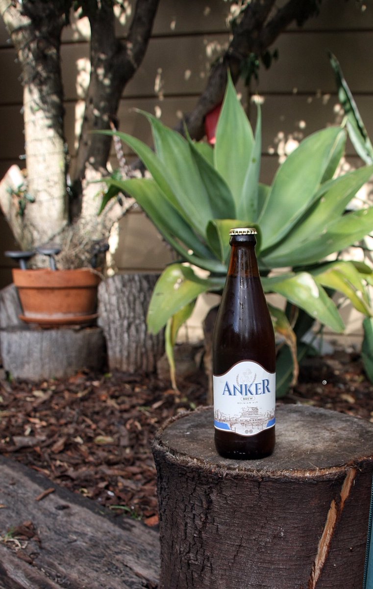 anker_brew's tweet photo. Prepping for #GardenDay
#AnkerBrew #CraftedbeforeCraft #GardenParty #GardenDaySA https://t.co/HqWN332FKe