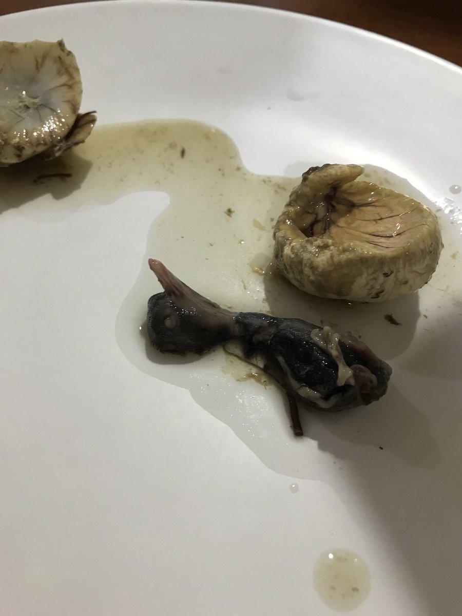 Yohei בטוויטר お昼ご飯に 誰かがどこかから買ってきたバロットがあって とりあえず剥いてみた セブでは露店でそこら辺で売ってるメジャーな食べ物なんだけど 孵化前のアヒルの卵を茹でたもの かなりグロい
