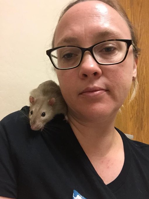 I had to take one of my rattos to the vet 4 the first time today. He is gonna be ok! Thank you PHX exotic<a href="/tag/buzz"class="tags"><span>#buzz</span></a><a href="/tag/thatfacetho"class="tags"><span>#thatfacetho</span></a>