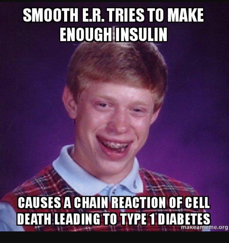 Nucleus608's tweet photo. Is there ever too much insulin? @WE_ARE_ENDORETI @allshookupbybio #organelleswarsOLu https://t.co/oUsiIHUsNR