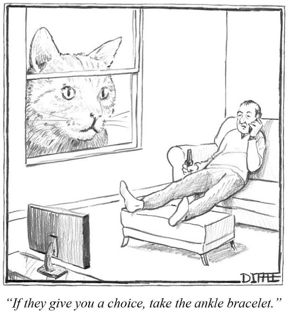tritbaumber's tweet photo. House Arrest (by #MatthewDiffee with caption by @docnad) #comic #newyorker #housearrest https://t.co/WaDzAUXPvZ https://t.co/ocaNGD1FBA