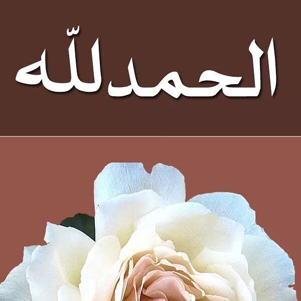 baasha1111's tweet photo. Subhan Allah.      ☘️           Alhamdulillah.       ☘️           lailah'illalah Akber☘️#Baasha_ahmed https://t.co/wn66RAa1NE