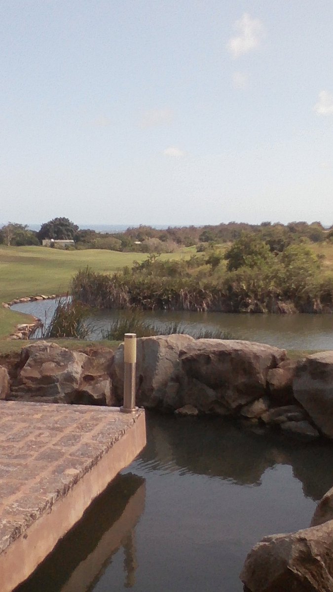 whthome's tweet photo. Another #MagicalDay has dawned in #MagicalKenya #ILoveMyJob @VipingoRidgeLtd @MagicalKenya #MKTE2017 #ViewFromMyOffice #WaitForTomorrowsView https://t.co/QSsxo7zmsA