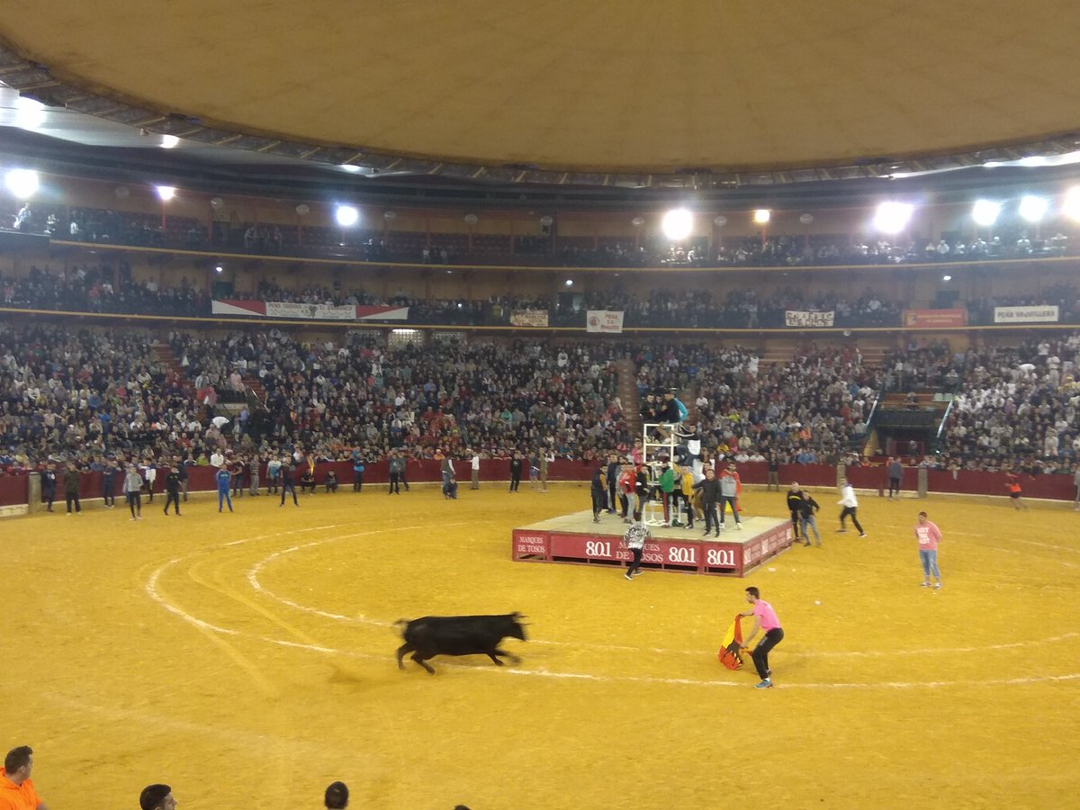 Ruedo_Bravo's tweet photo. #vaquillasATV5, feliz día del #Pilar!!, comenzamos la mañana hoy con la ganadería valenciana de #machancoses #ruedobravo #Pilar2017 https://t.co/Re26BXJlUI